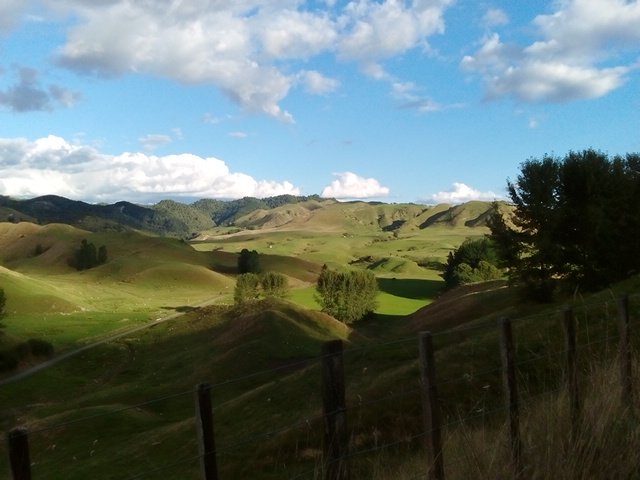 Nuova Zelanda Capitolo 4: The Forgotten World Highway