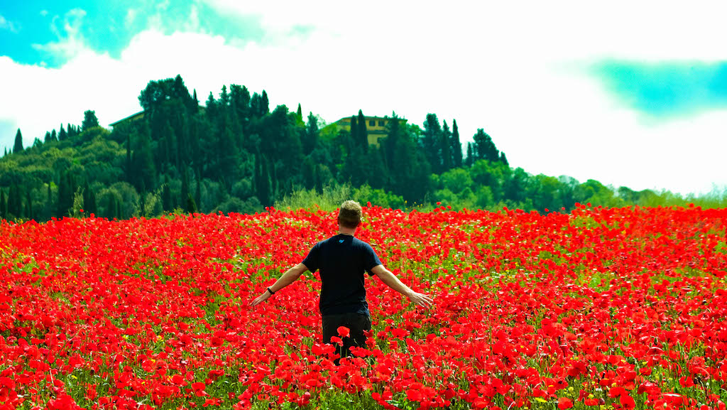 Un giorno di ordinaria gratitudine.